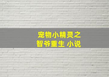 宠物小精灵之智爷重生 小说